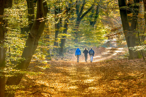 Coaching outdoor